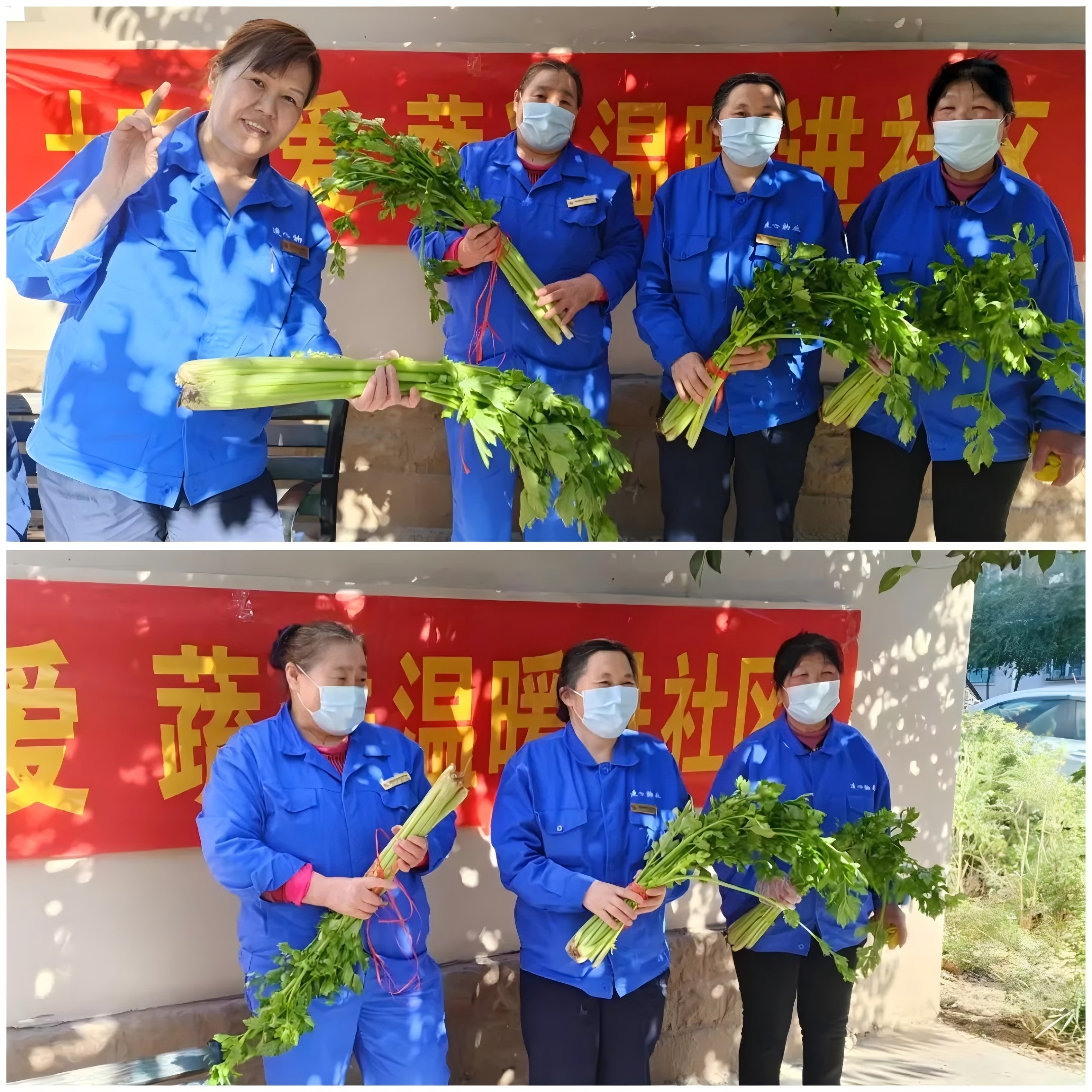 連心物業(yè)駐山東電力中心醫(yī)院項(xiàng)目部與社區(qū)聯(lián)辦“蔬菜送溫暖”活動